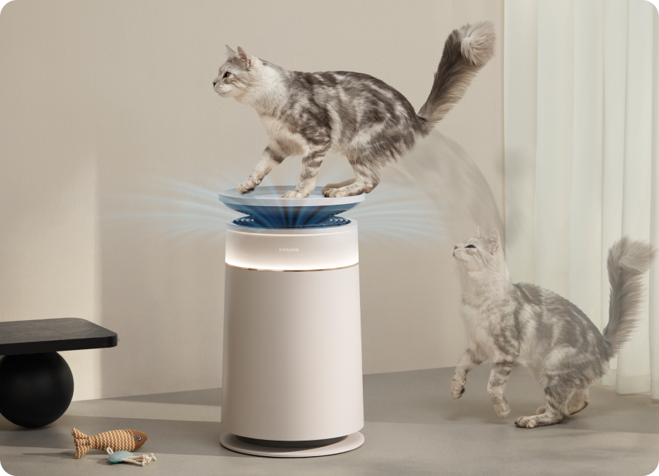 Prévention du stress chez le chat*