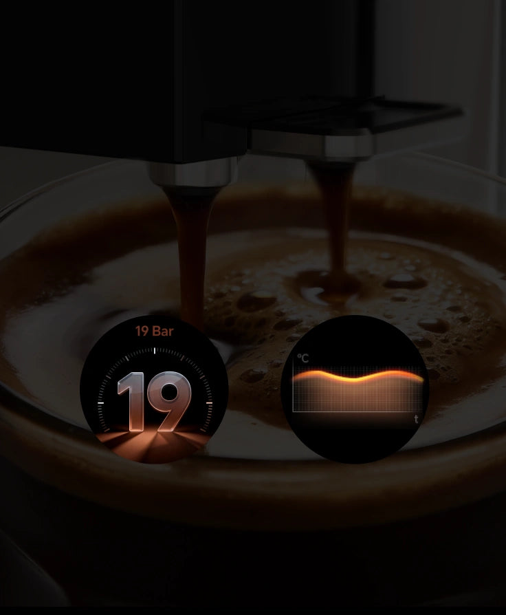 Système d’Extraction <br class="coffeemas_c-pc-hide">Dorée et Soyeuse