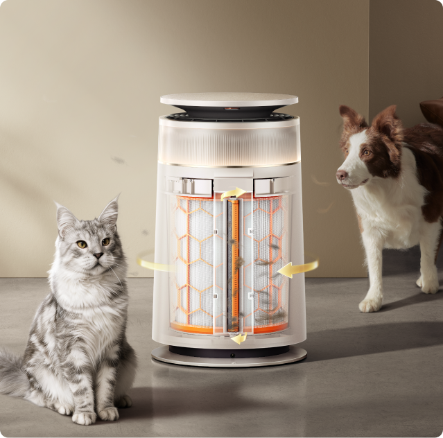 Dreame FP10 Luftreiniger im Querschnitt zeigt den aktiven Doppelwalzen-Mechanismus mit einer Haaraufnahmerate von 99,5 % für Haushalte mit Katze und Hund.