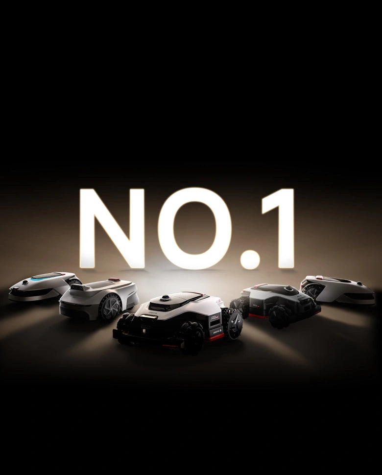 Classé N°1*