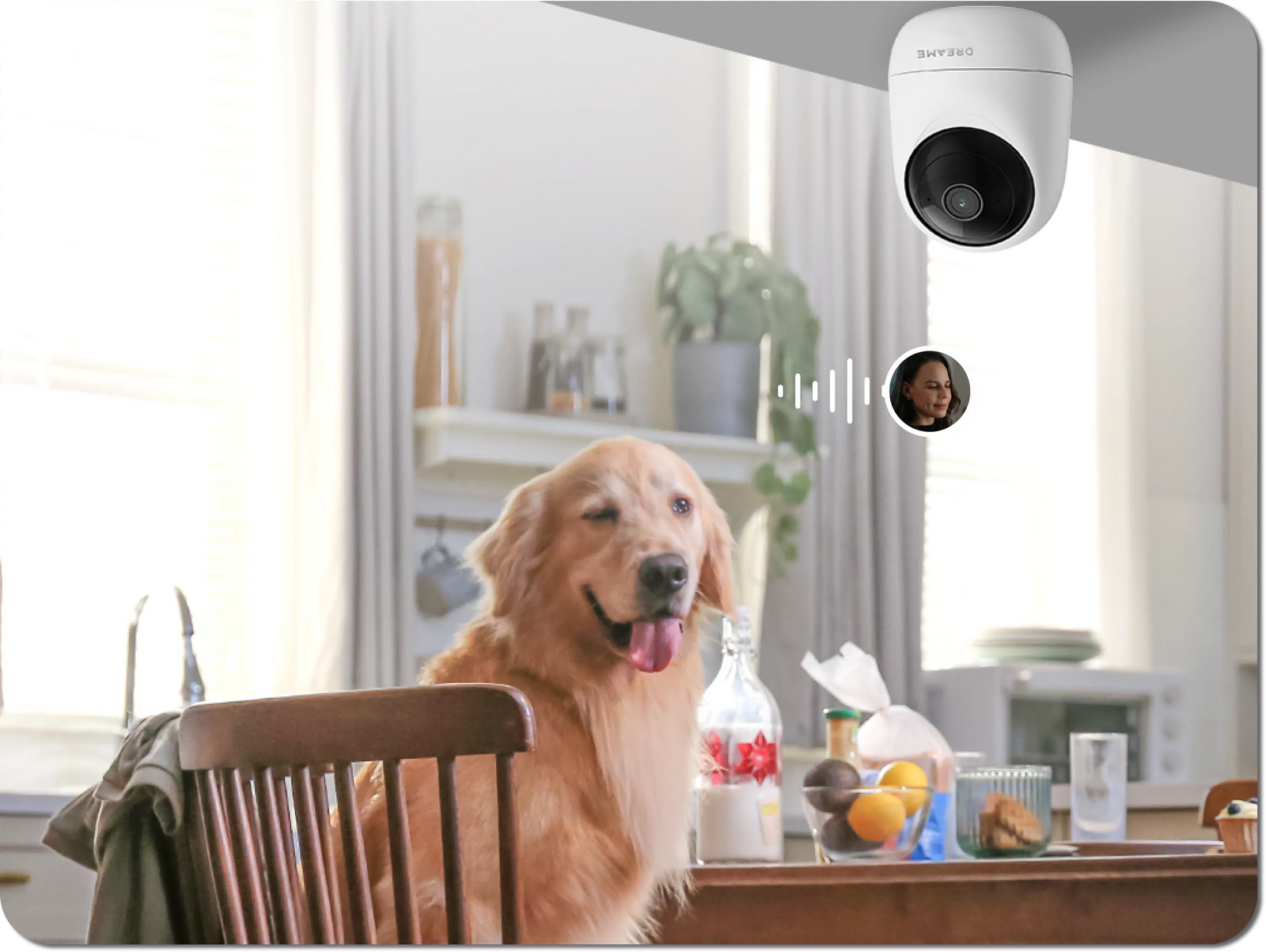 Caméra Dreame NAVO Care SE 1 InCam avec audio bidirectionnel pour intervenir à distance auprès d'un chien dans la cuisine