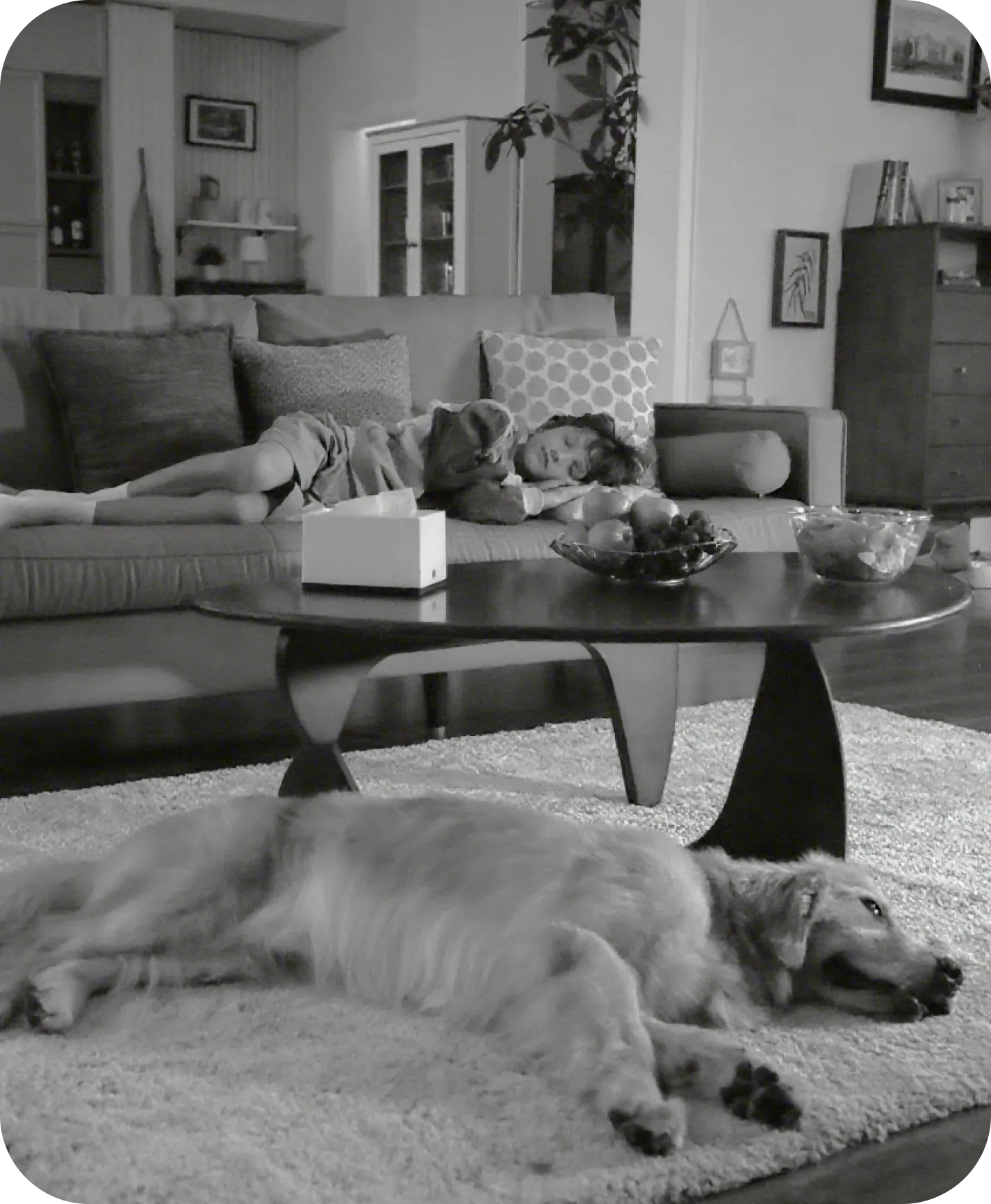 Mode vision nocturne infrarouge de la Dreame NAVO Care 1 InCam montrant une personne et un chien dans un salon sombre jusqu'à 9 m