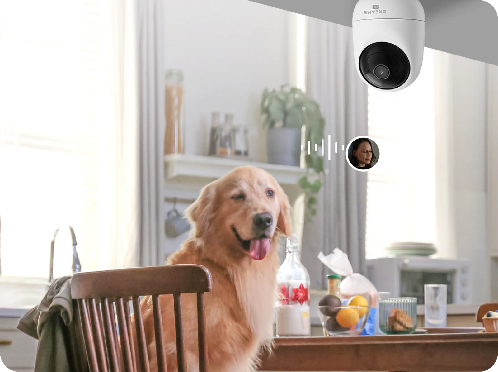 Dreame NAVO Care 1 InCam en cuisine avec chien près de la table et ordre vocal à distance du propriétaire via audio bidirectionnel
