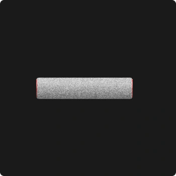 Brosse rouleau de rechange