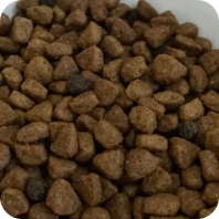 Nourriture pour animaux
