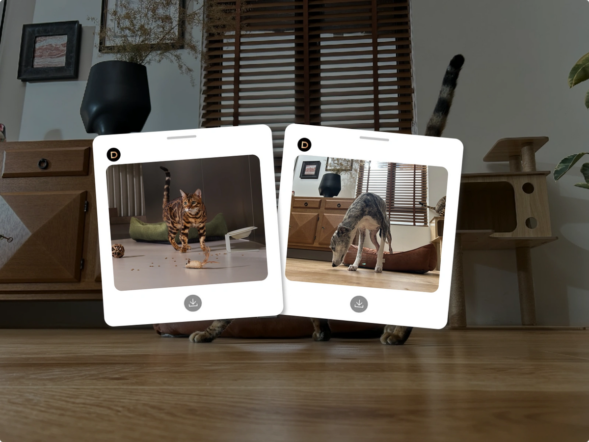 Une nouvelle vision sur les habitudes des animaux