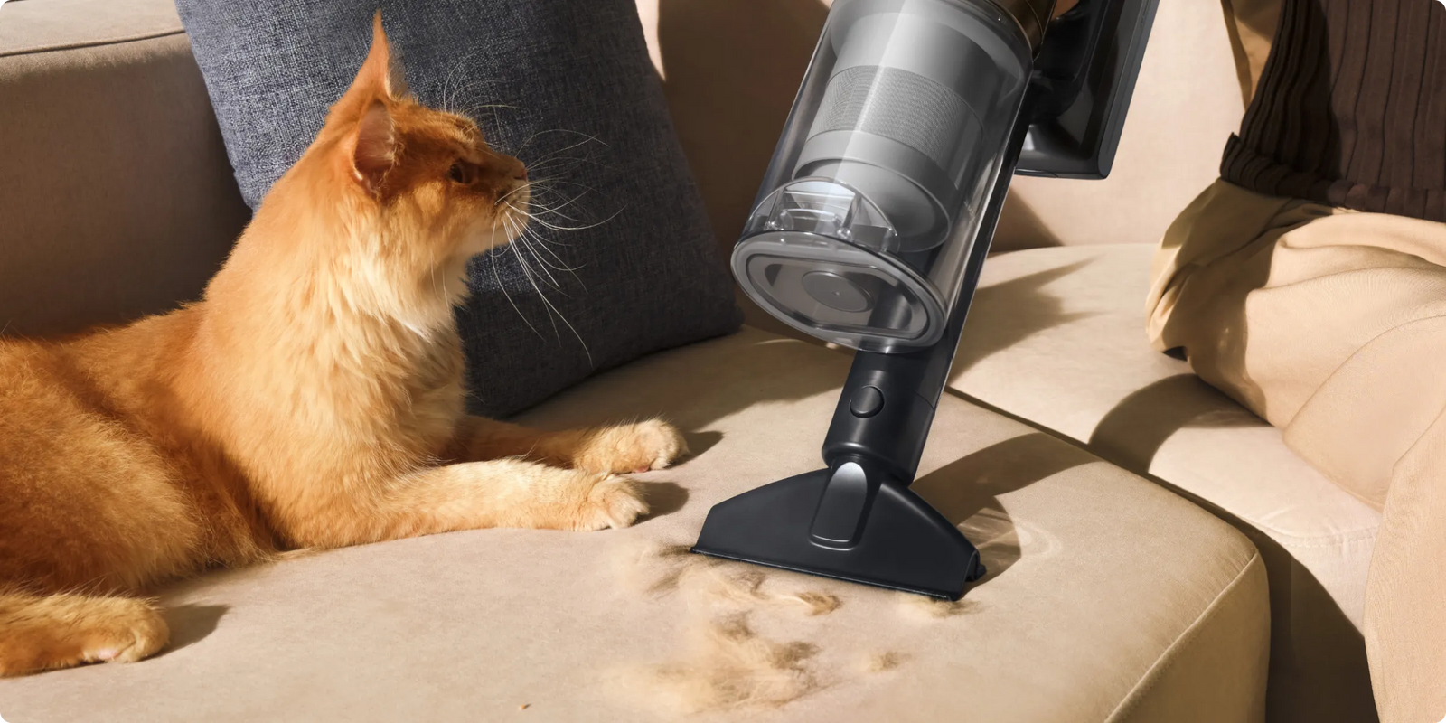Accessoire de toilettage Dreame   Z30 Pro Aqua-A pour éliminer les poils de chat sur le canapé
